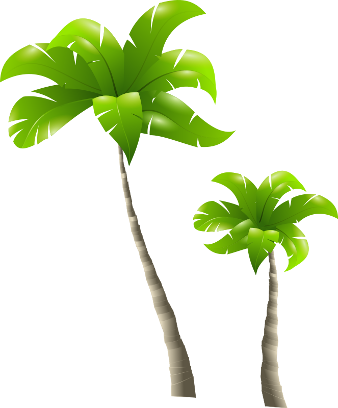 Clipart of palm tree clip art