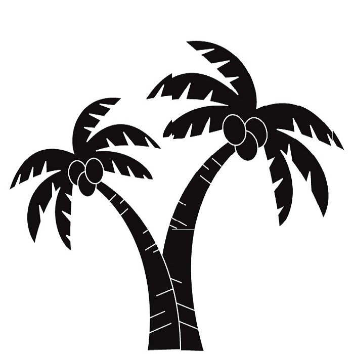 Palm tree art tropical palm black white