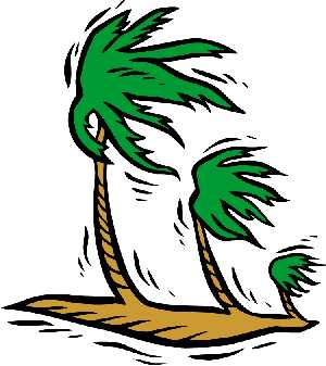 Palm tree clipart beach wind