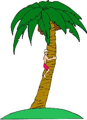 Palm tree clipart catch the coconut
