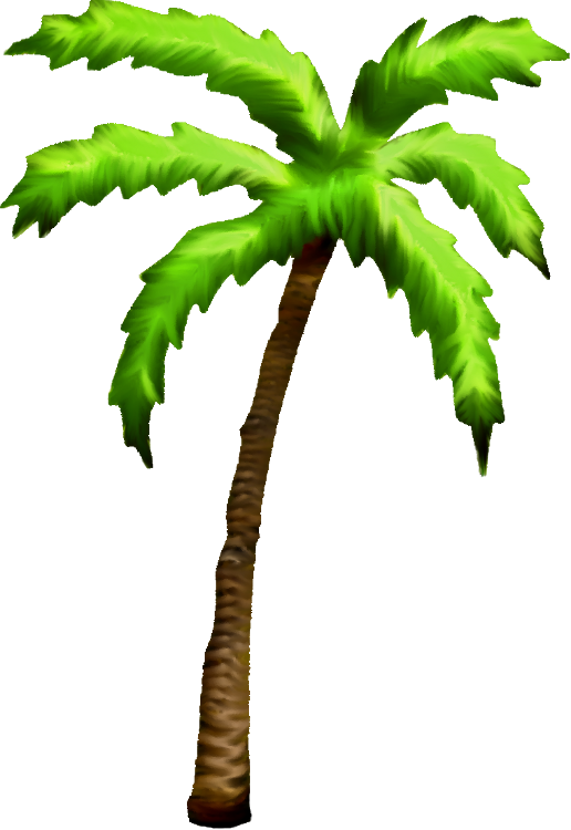Palm tree clipart tropical coconut