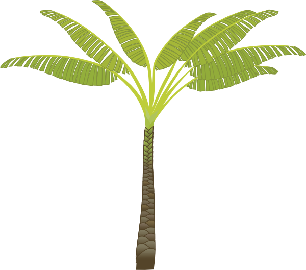 Palm tree clipart tropical free