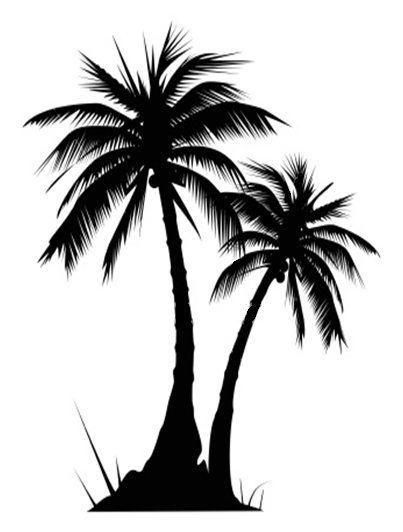Palm tree clipart tropical image