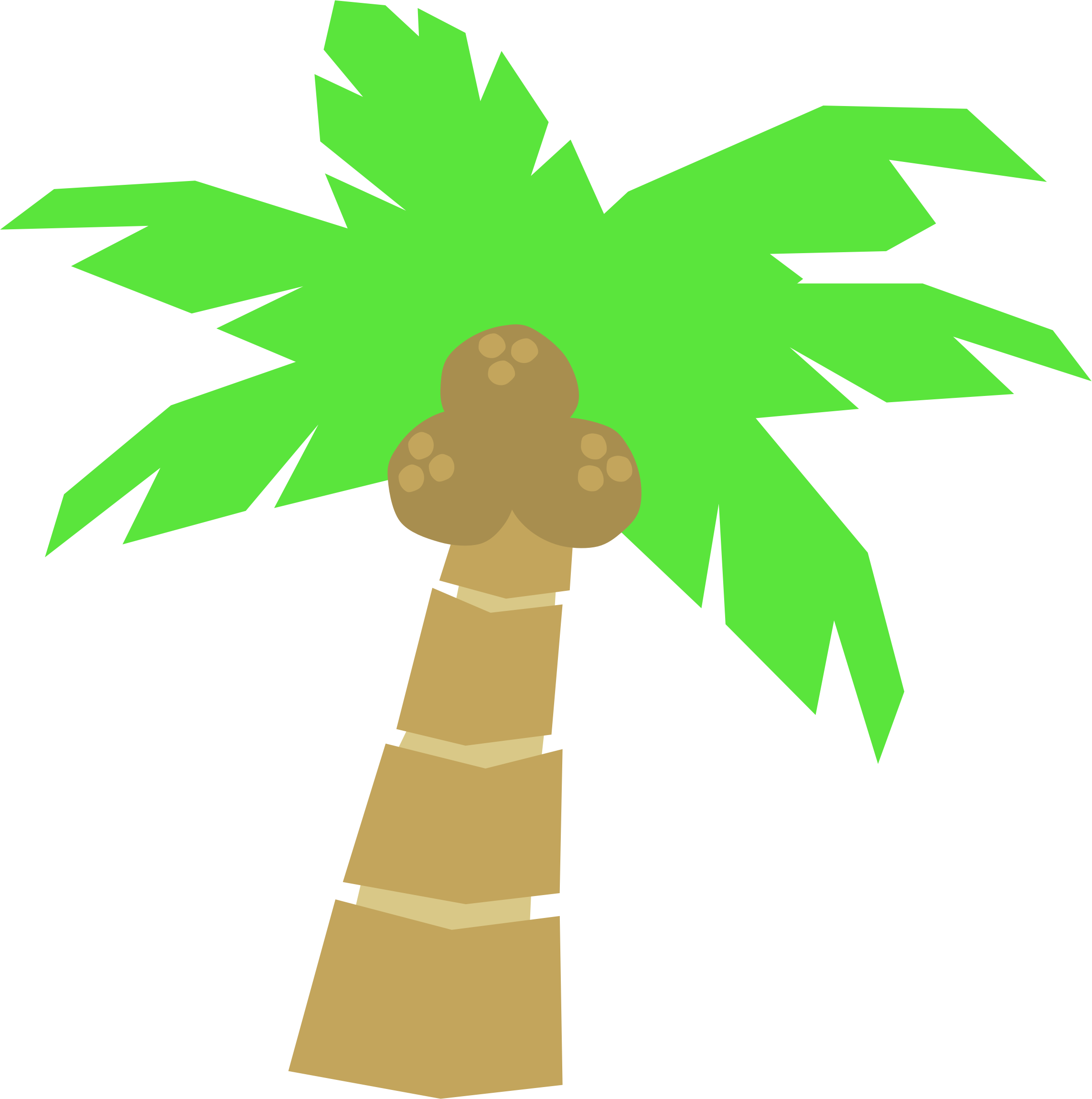 Palm tree clipart tropical palm tree vector