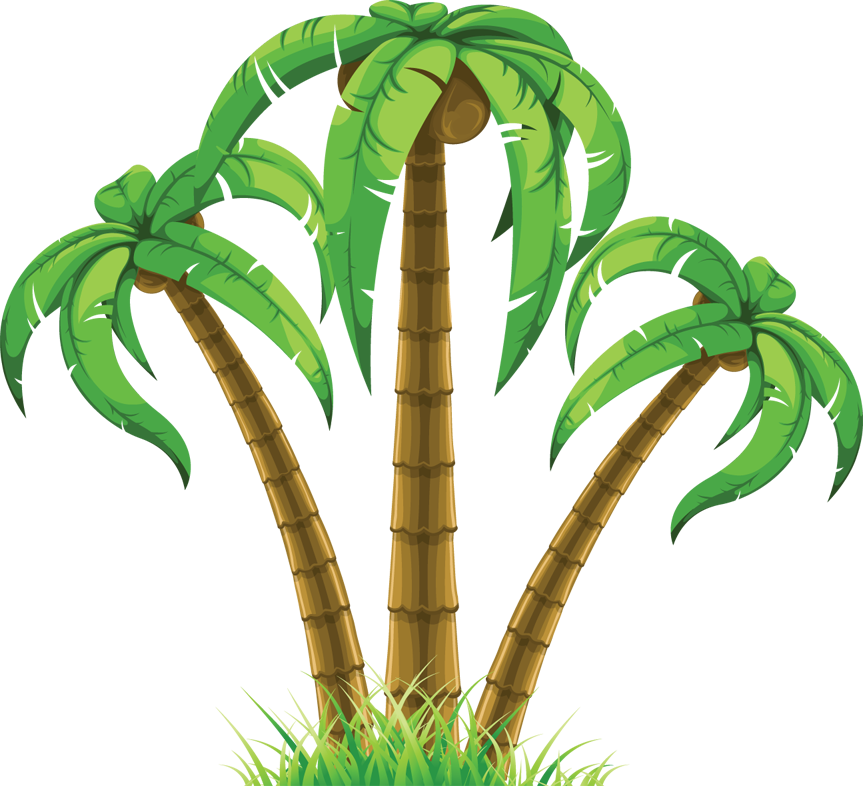 Palm tree coconut clipart free images