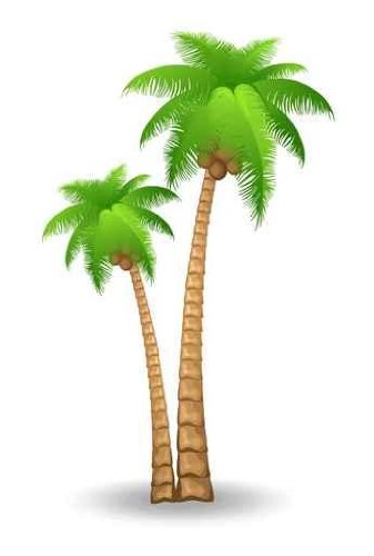 Vector palm trees clip art vector