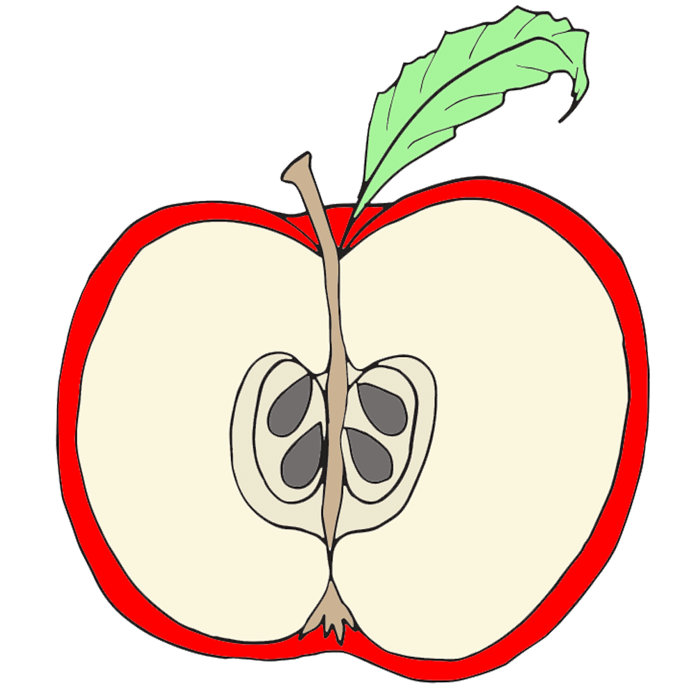 clip art red apple clipart