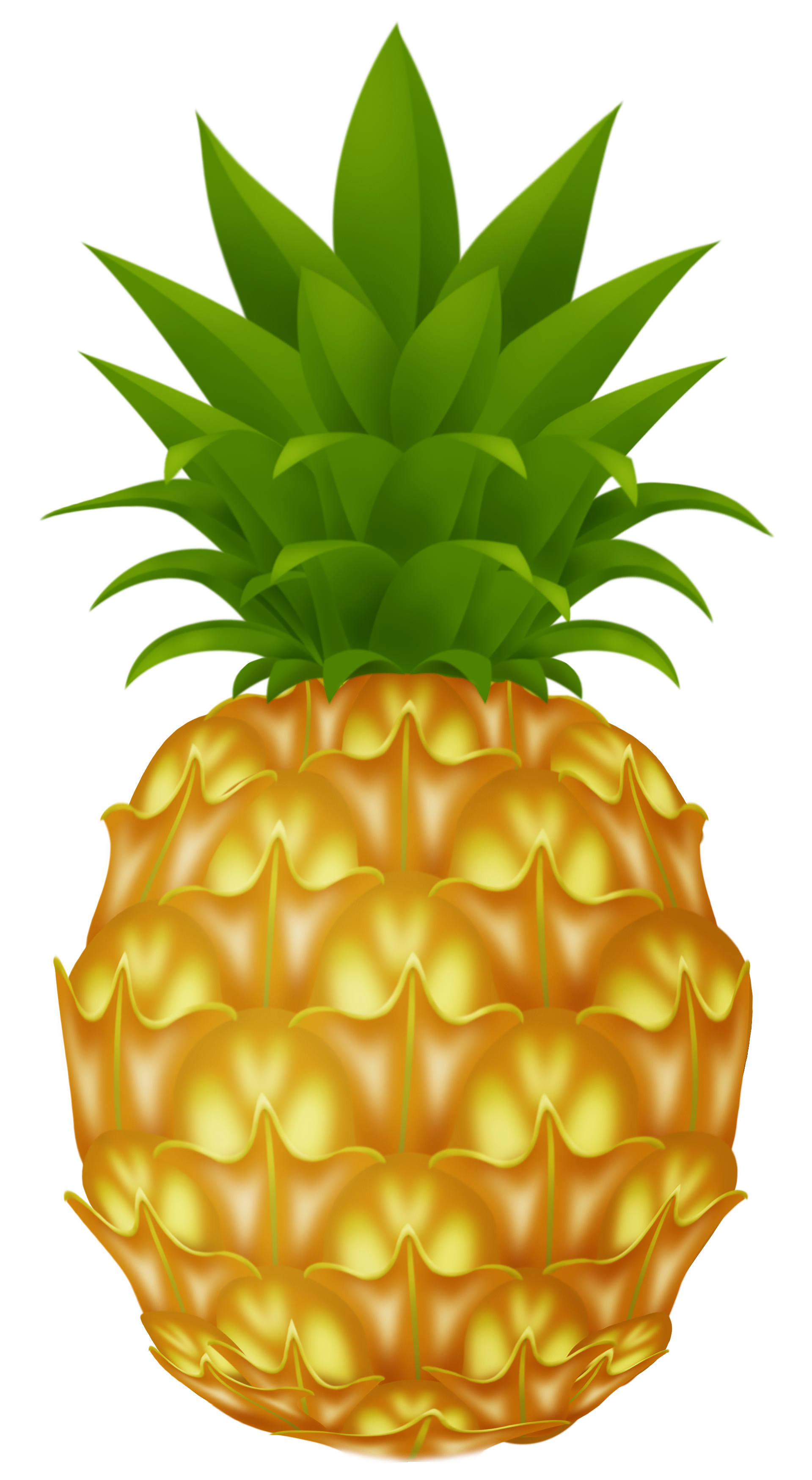 pineapple clipart 2