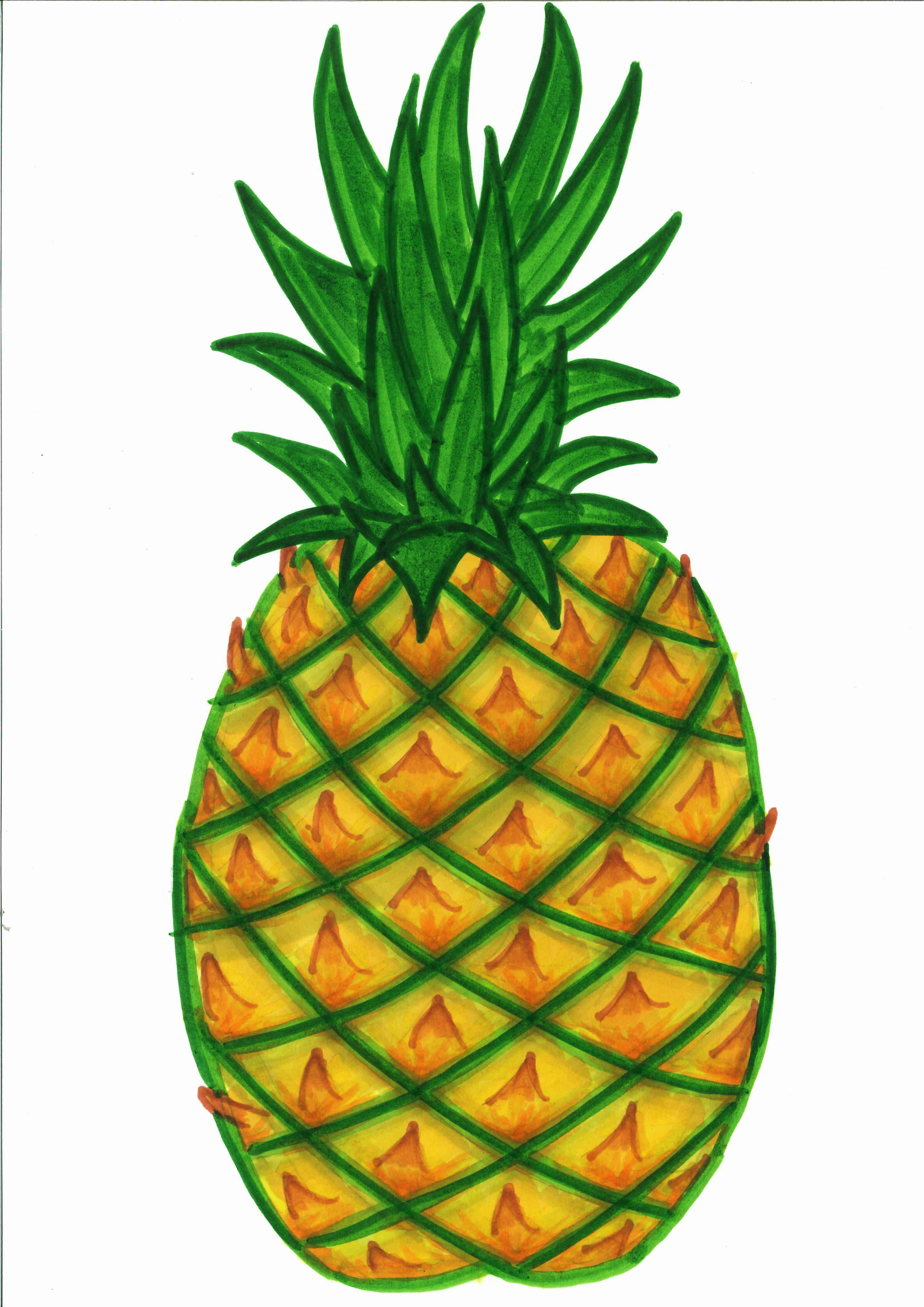 pineapple clipart black and white free