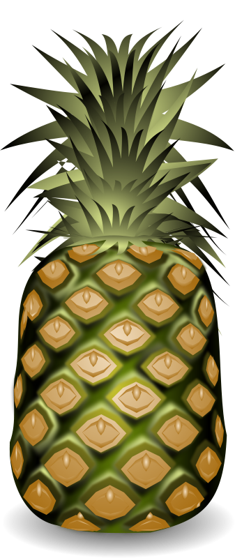 pineapple clipart free clip art hair image 7