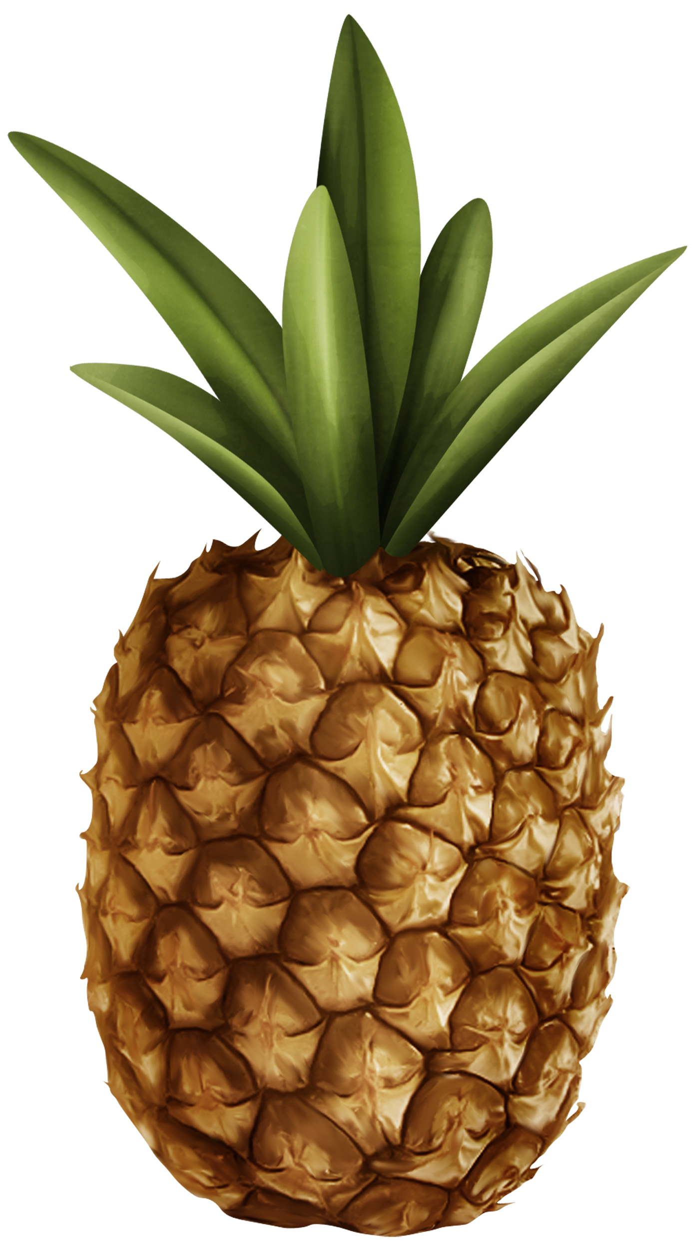 Pineapple Clipart - 47 cliparts