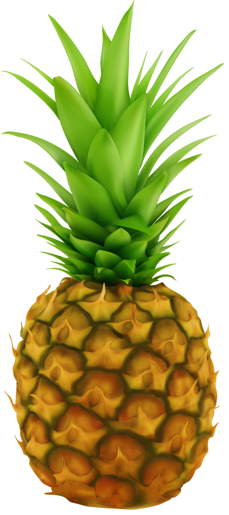 pineapple transparent clip art image - WikiClipArt