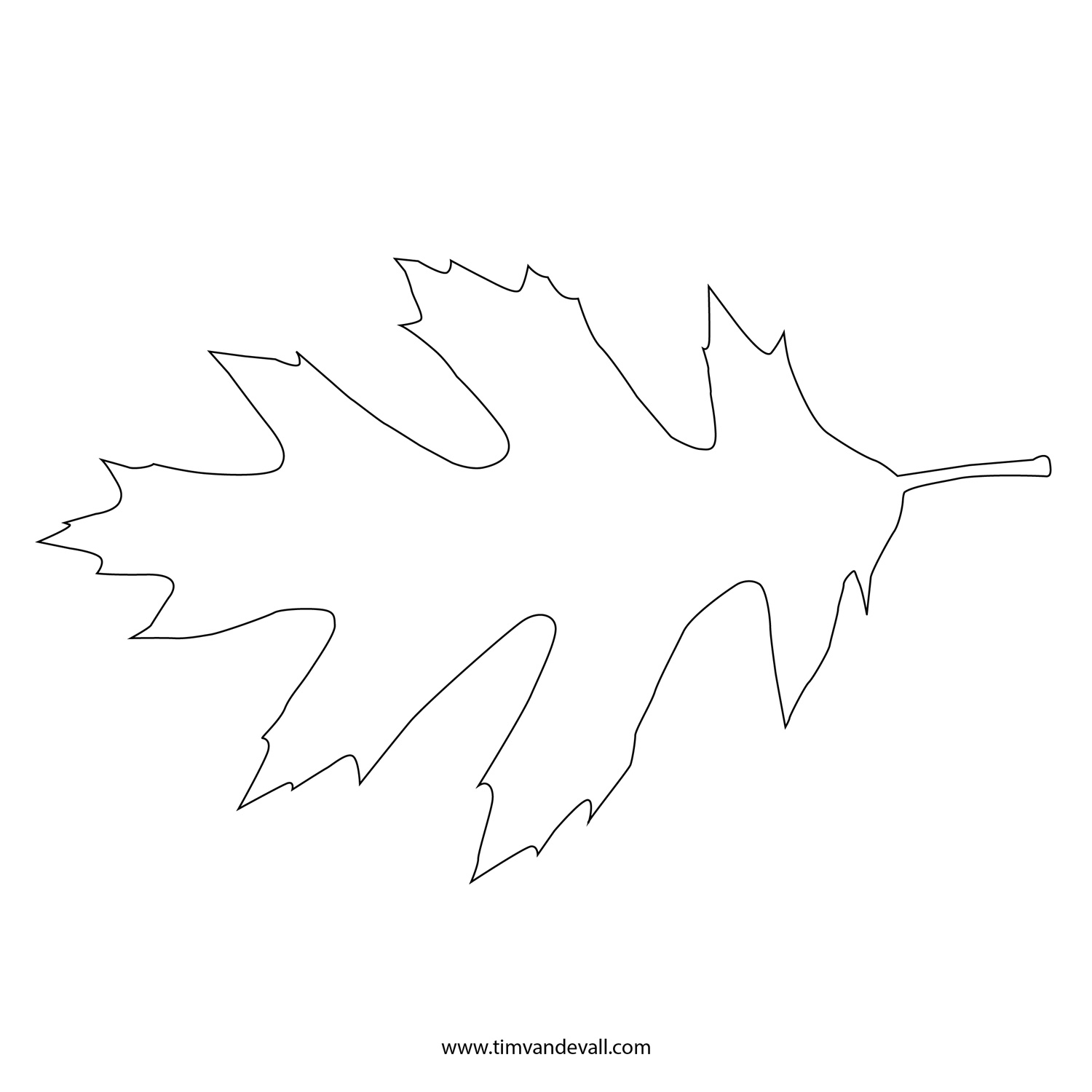 6 images of leaf outline printable template leaves clipart