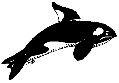 Animal clip arts whale clipart