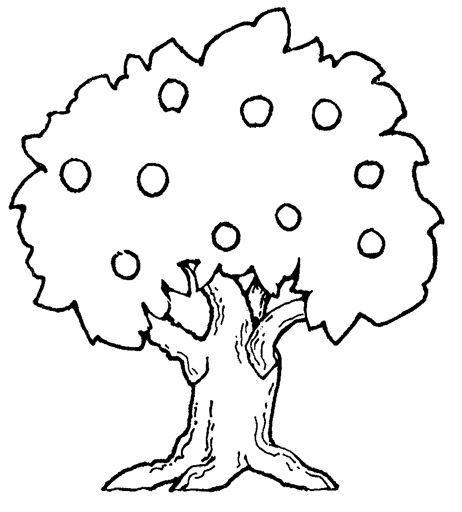 Apple  black and white apple tree black and white clipart
