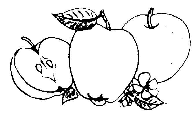Apple  black and white black and white apple clip art 7