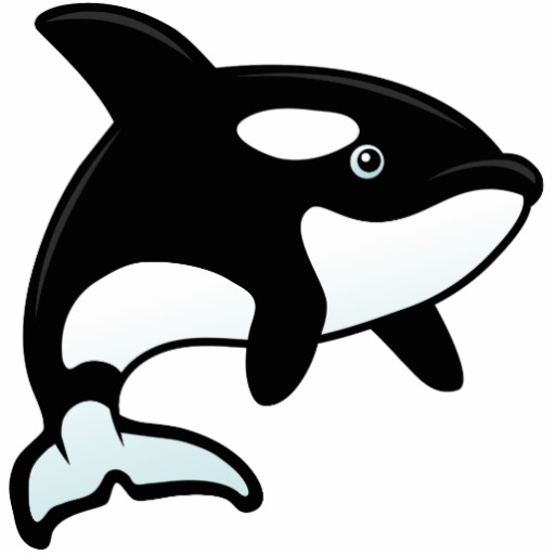 Baby killer whales clipart 3