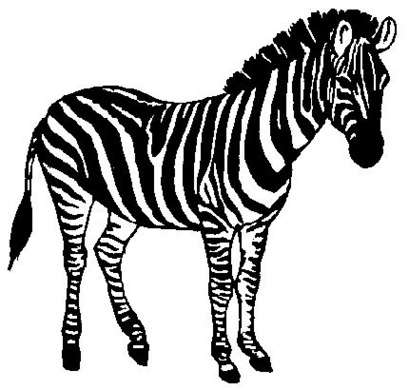 Baby zebra clipart free to use clip art resource