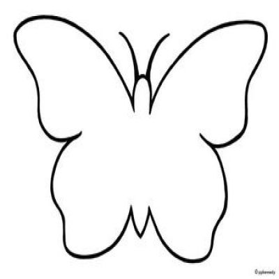 Butterfly  black and white animals clipart archives