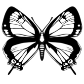 Butterfly black and white butterfly clip art black and white clipart 2 ...