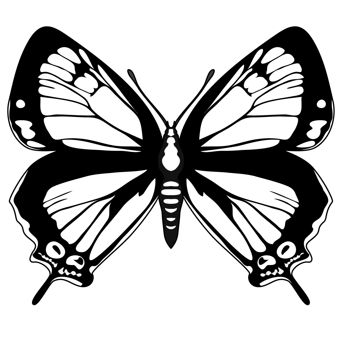 Butterfly  black and white butterfly clip art black and white clipart 2