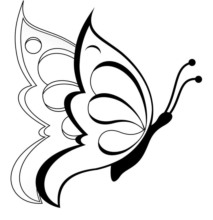 Butterfly  black and white butterfly clipart black and white 6