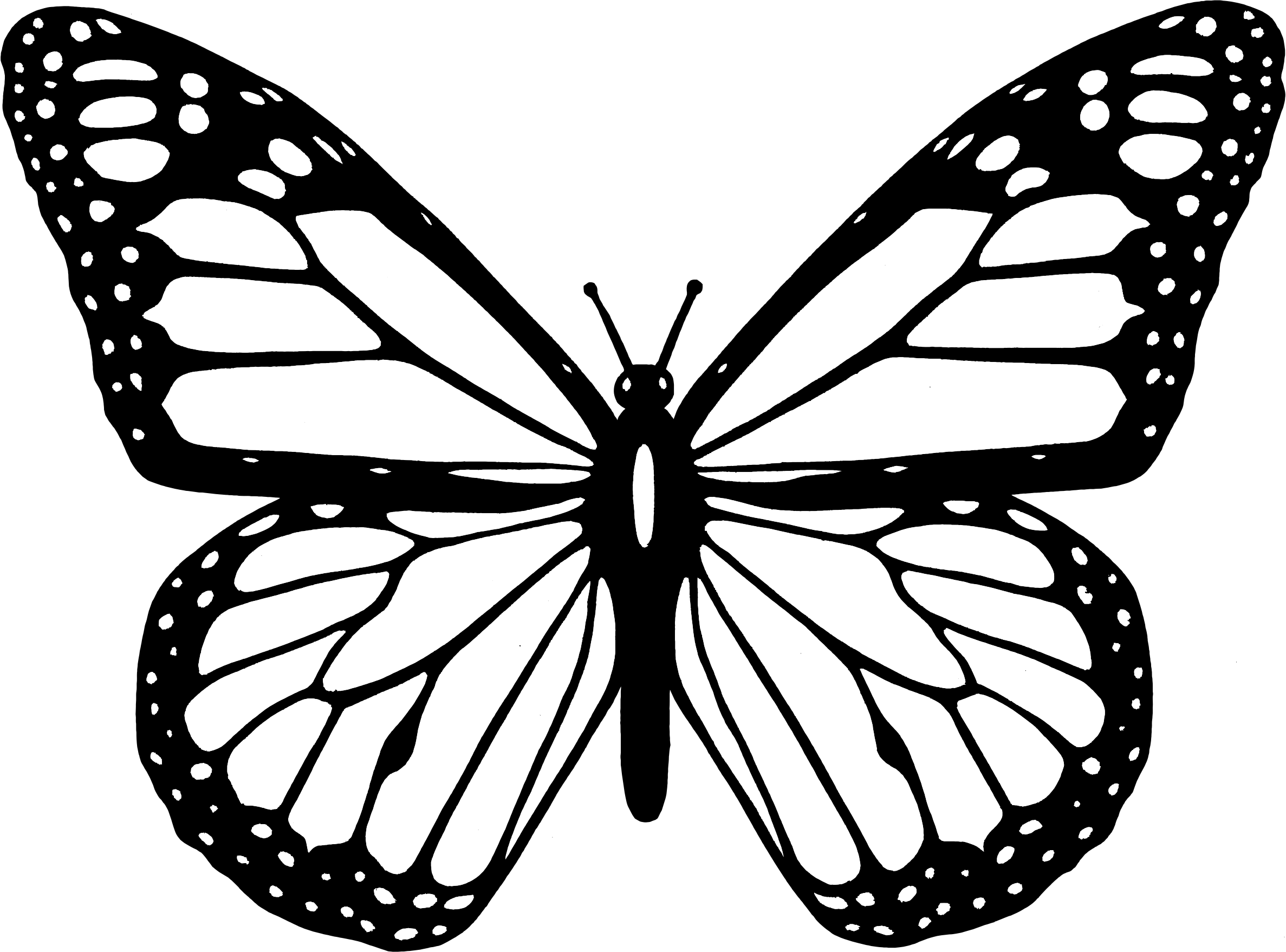 Butterfly black and white clipart black and white butterfly.