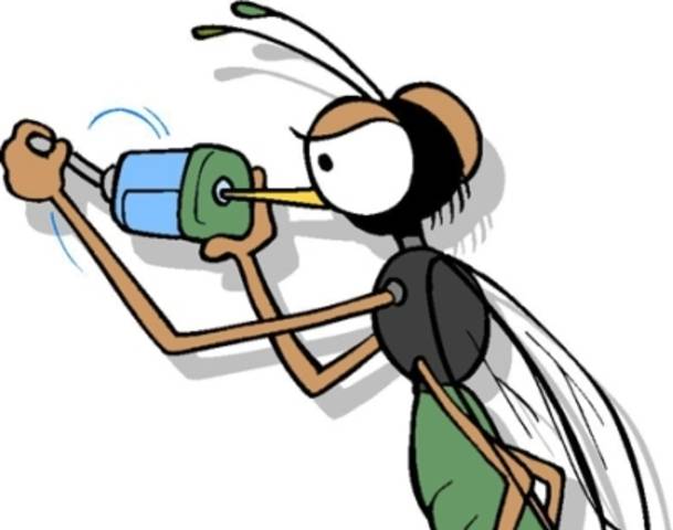 Cartoon mosquito clipart 4