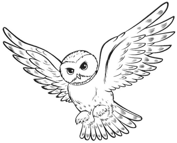 Coloring pages harry potter free and printable clipart