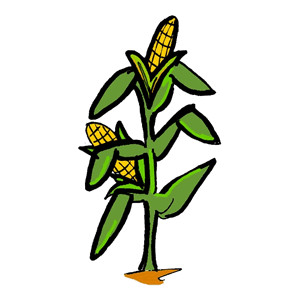 Corn clip art black and white free clipart images 2 3