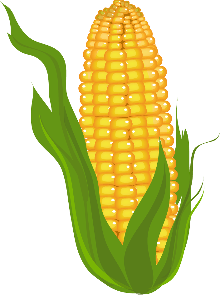 Corn clip art free clipart images