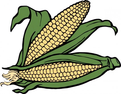 Corn clip art free vector in open office drawing svg