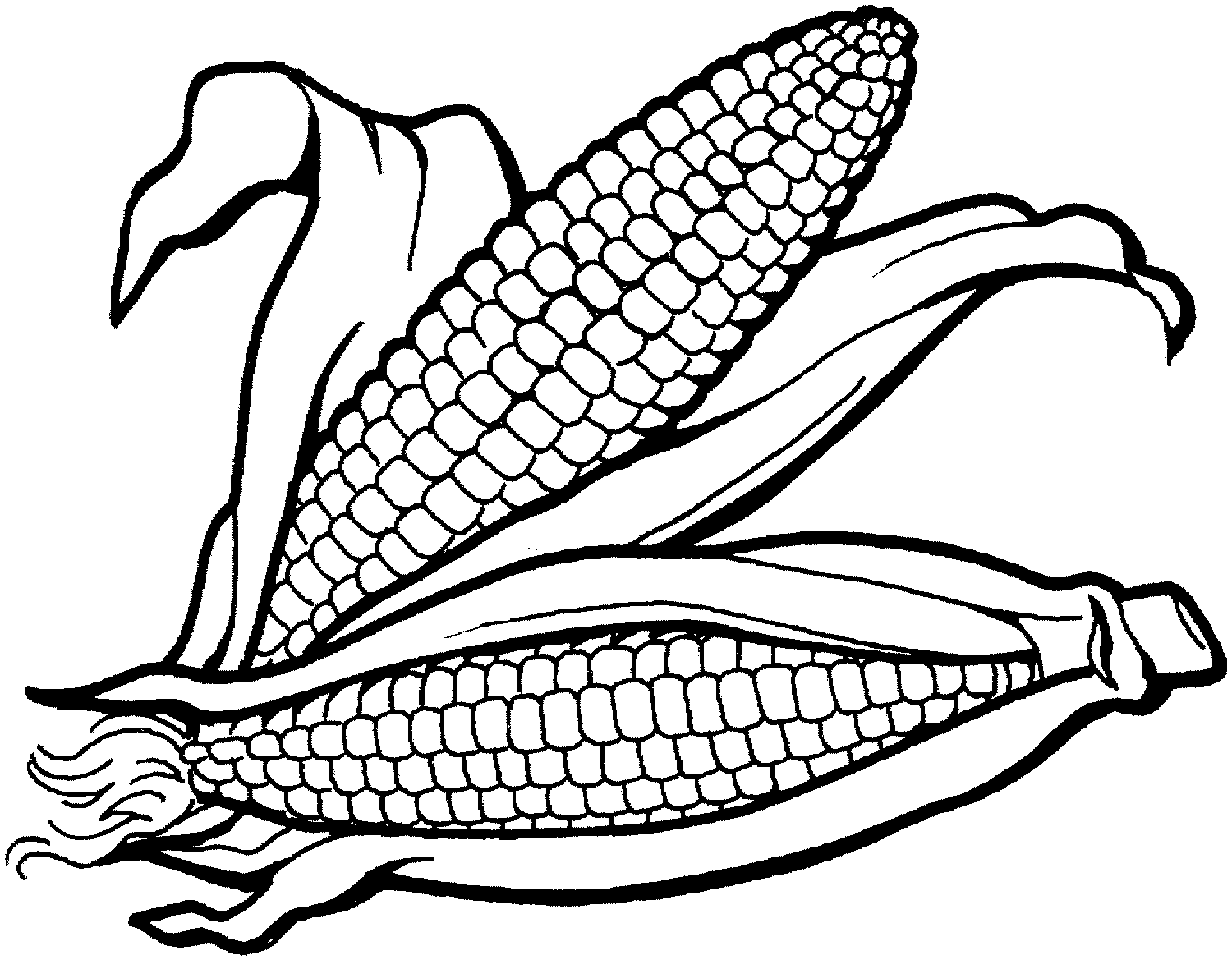 Corn clipart black and white free images