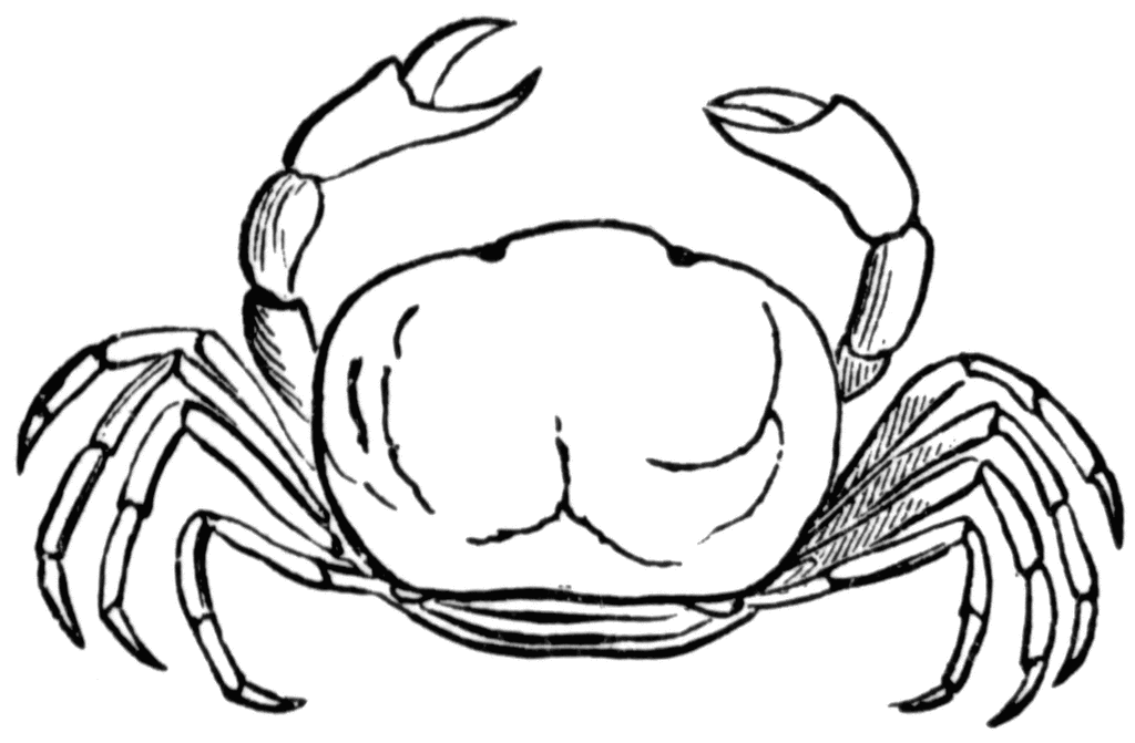 Crab black and white clipart