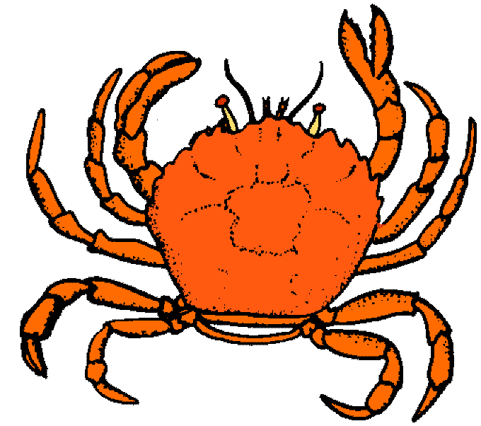 Crab clipart 2