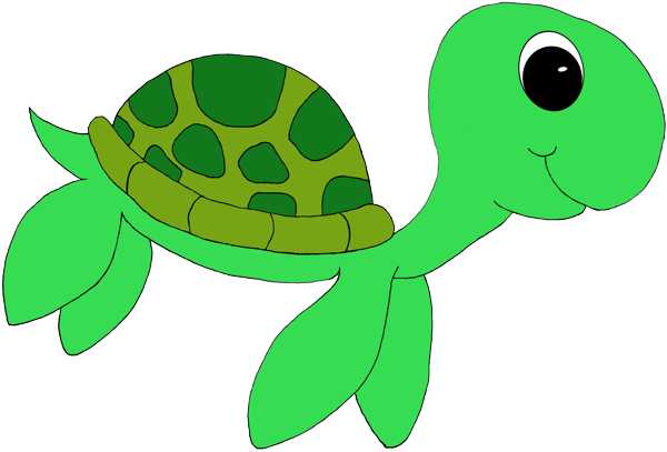Cute sea turtle clipart 2