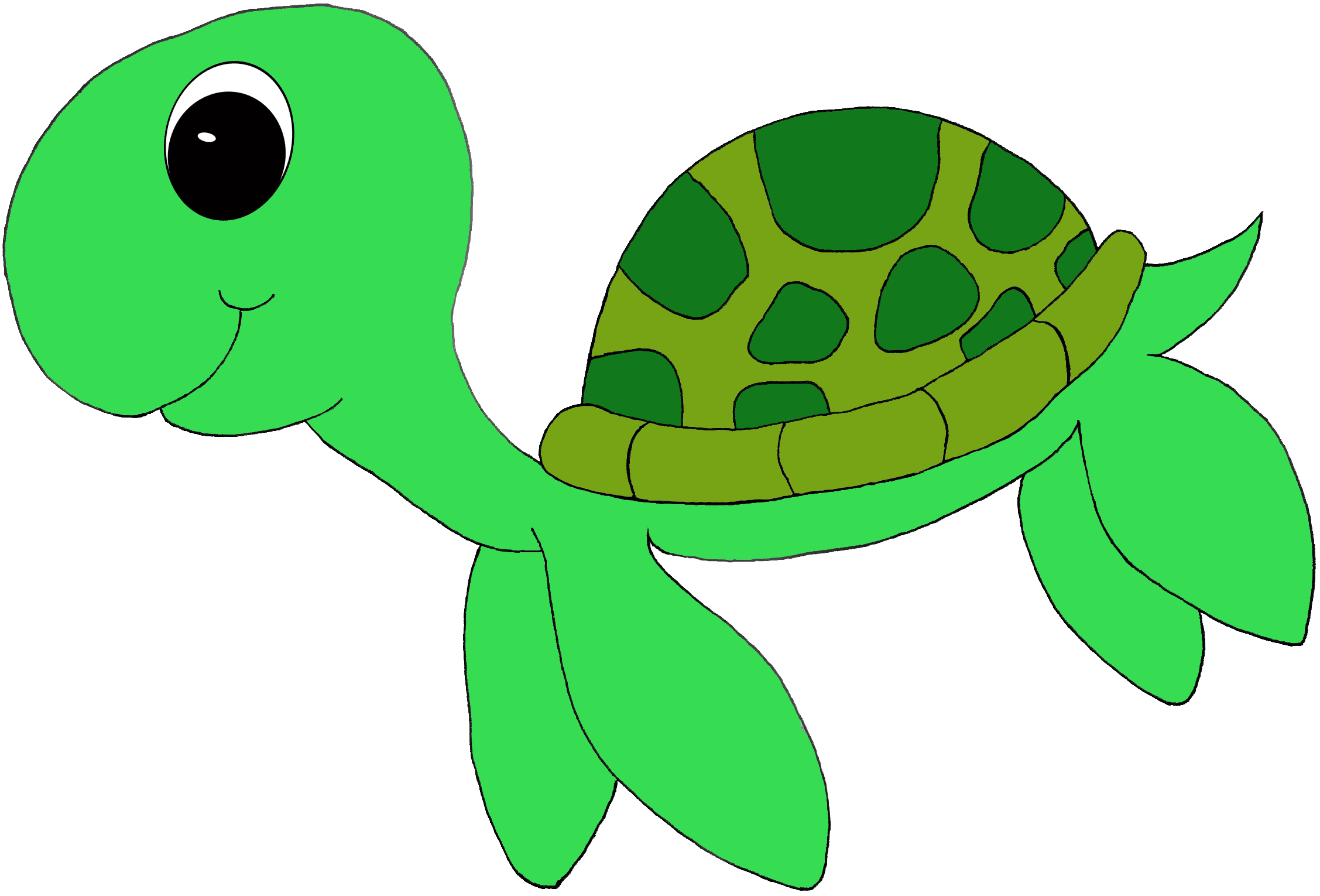 Cute sea turtle clipart