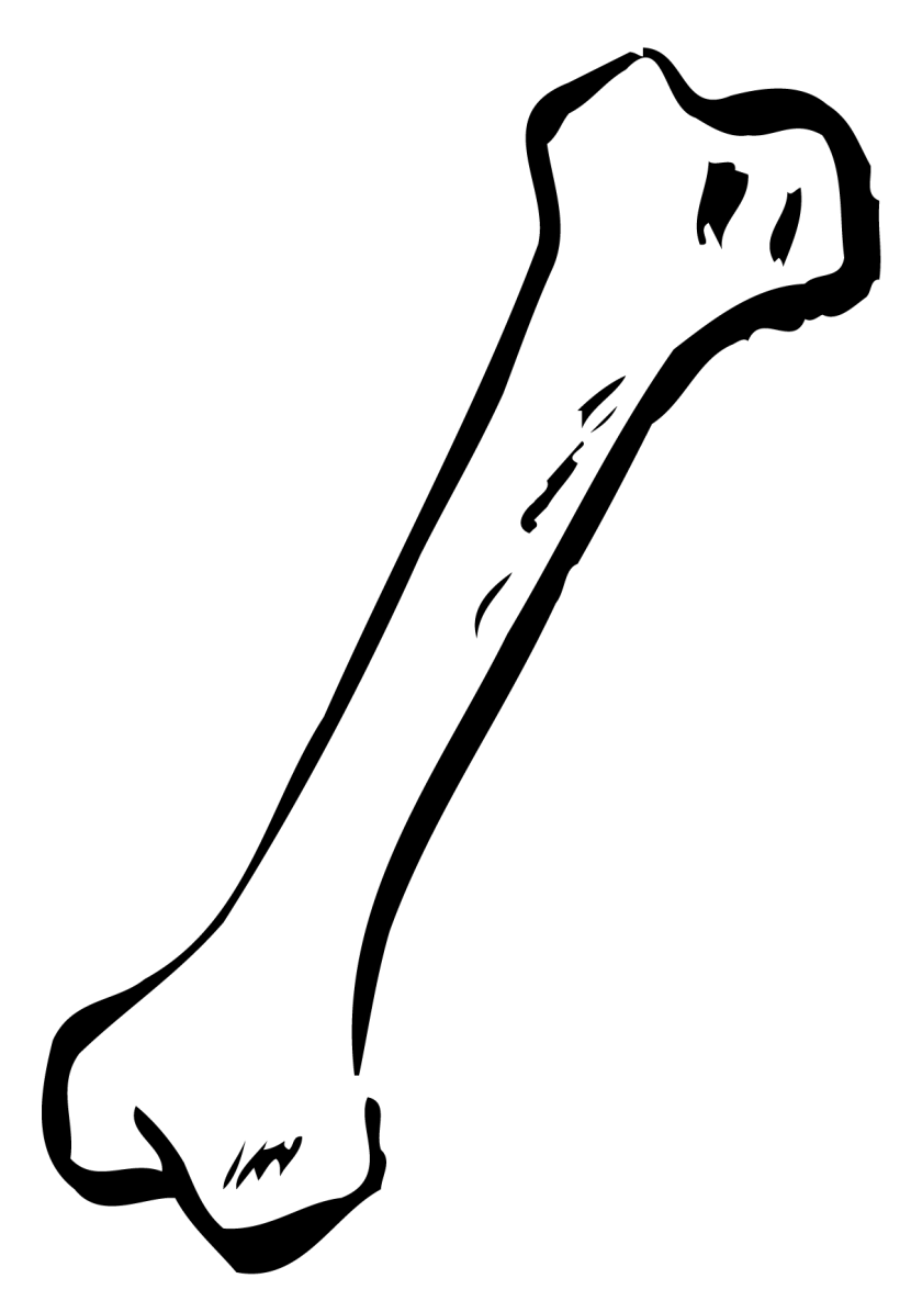 Dog bone clipart wikiclipart