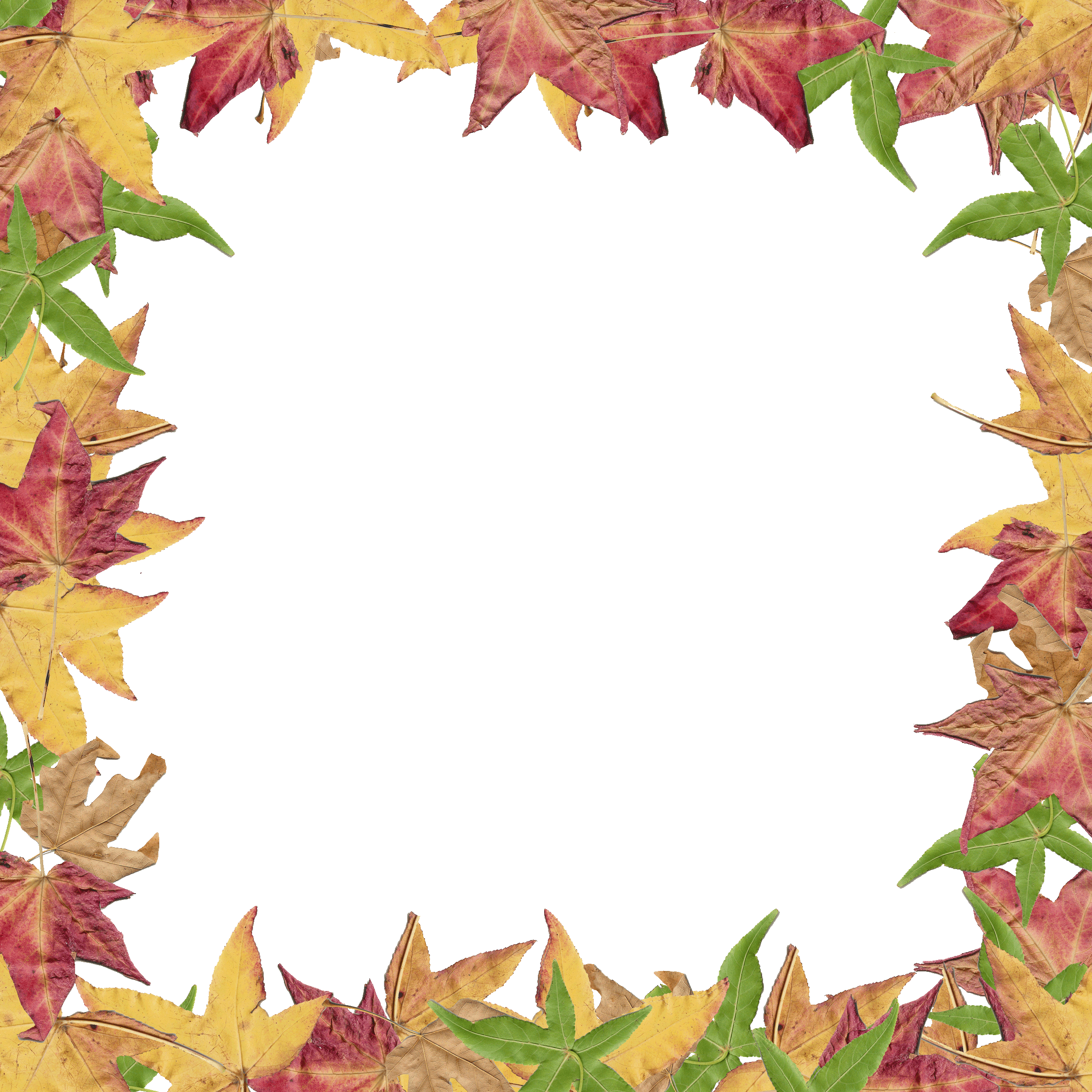Fall border fall leaves border clipart free images 6