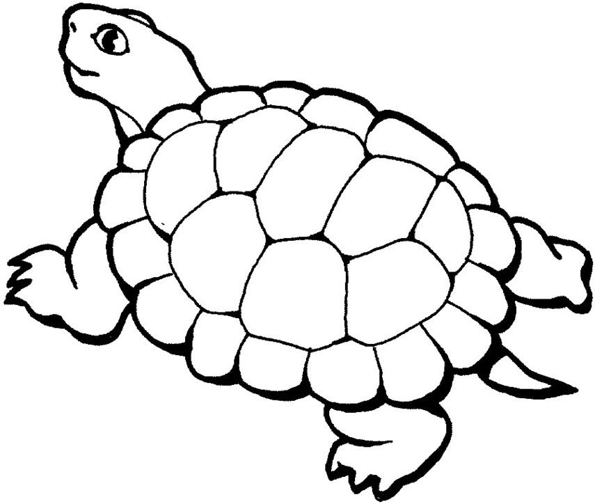 Free black and white sea turtle clipart to use clip 2