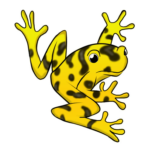 Free frog clip art drawings and colorful images 5