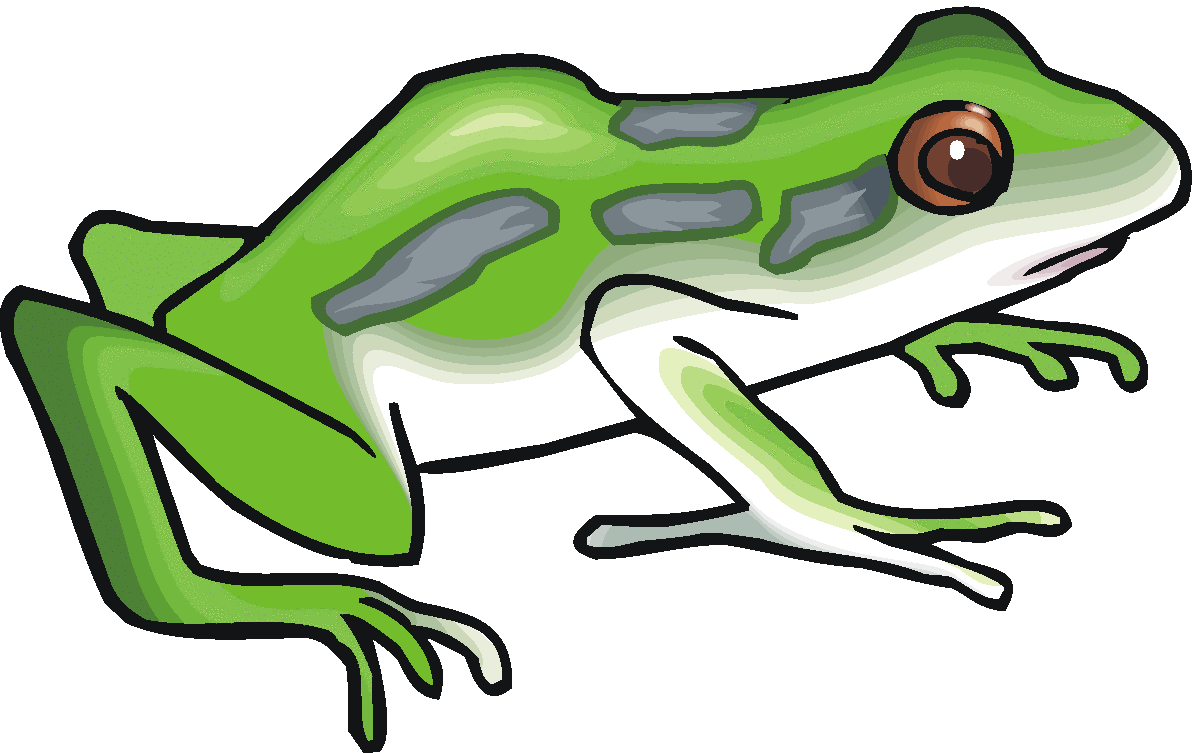 Free frog clipart clip art pictures graphics illustrations 3