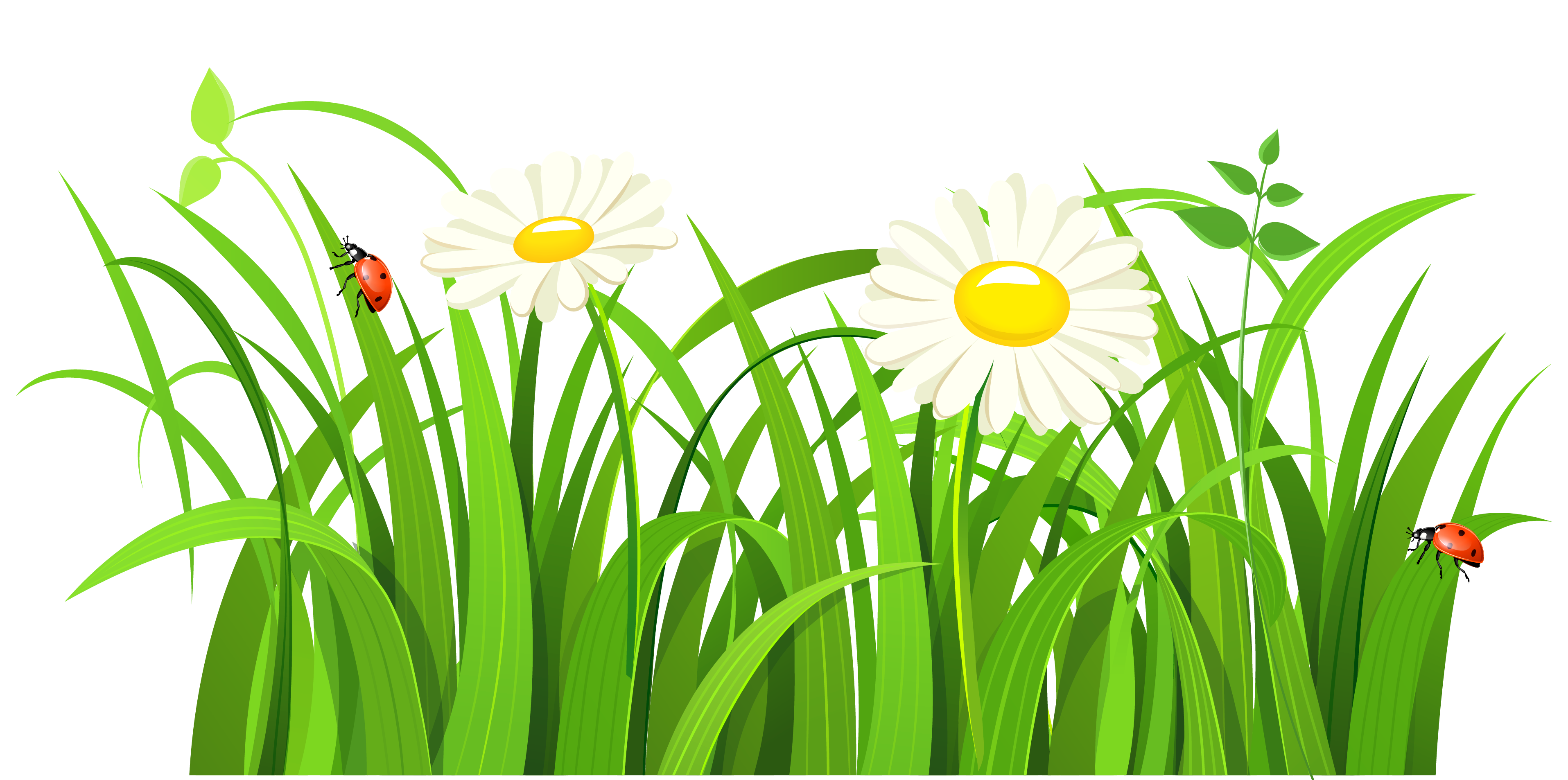Free grass clip art pictures 2