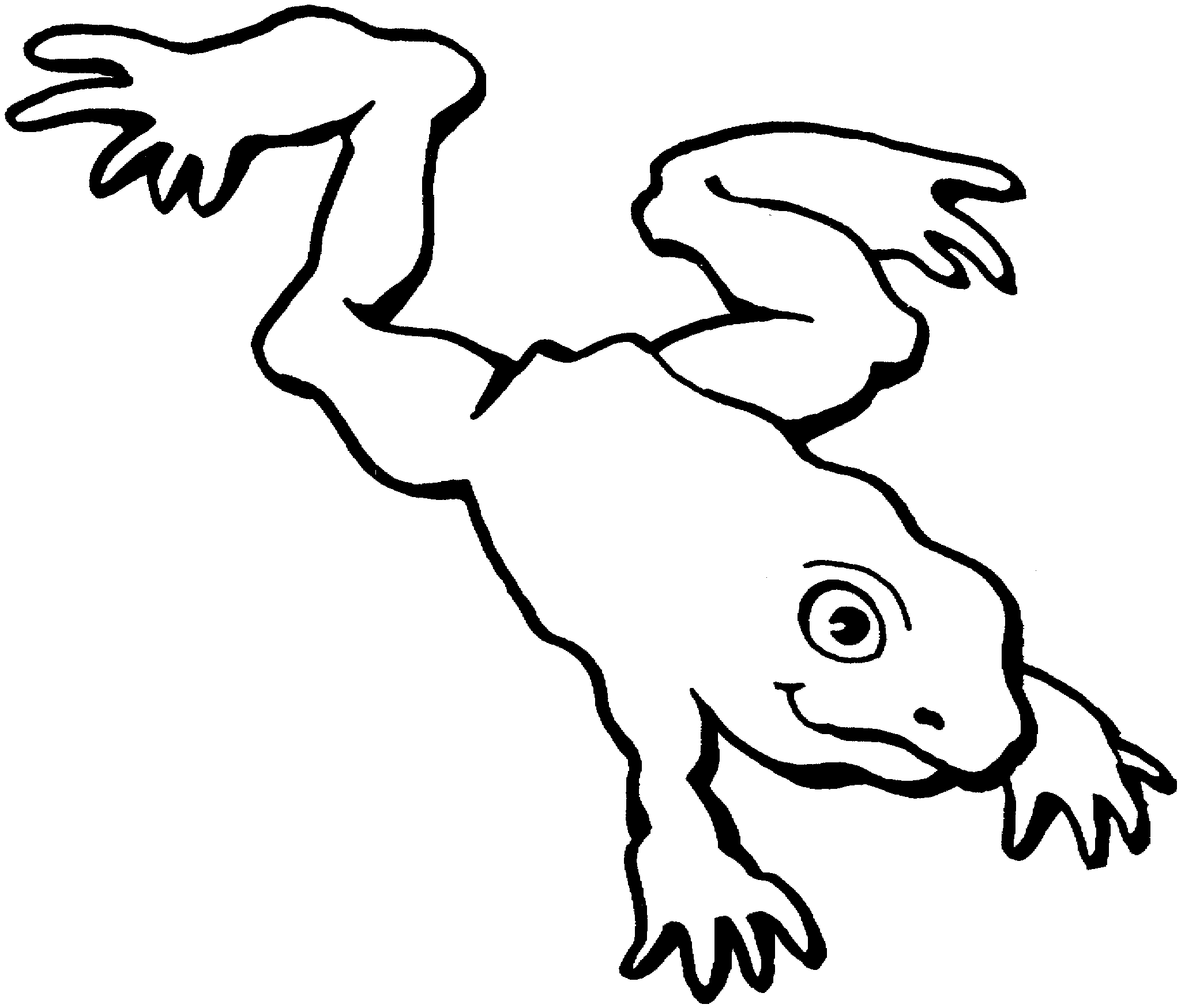 Frog  black and white clipart frog jumping