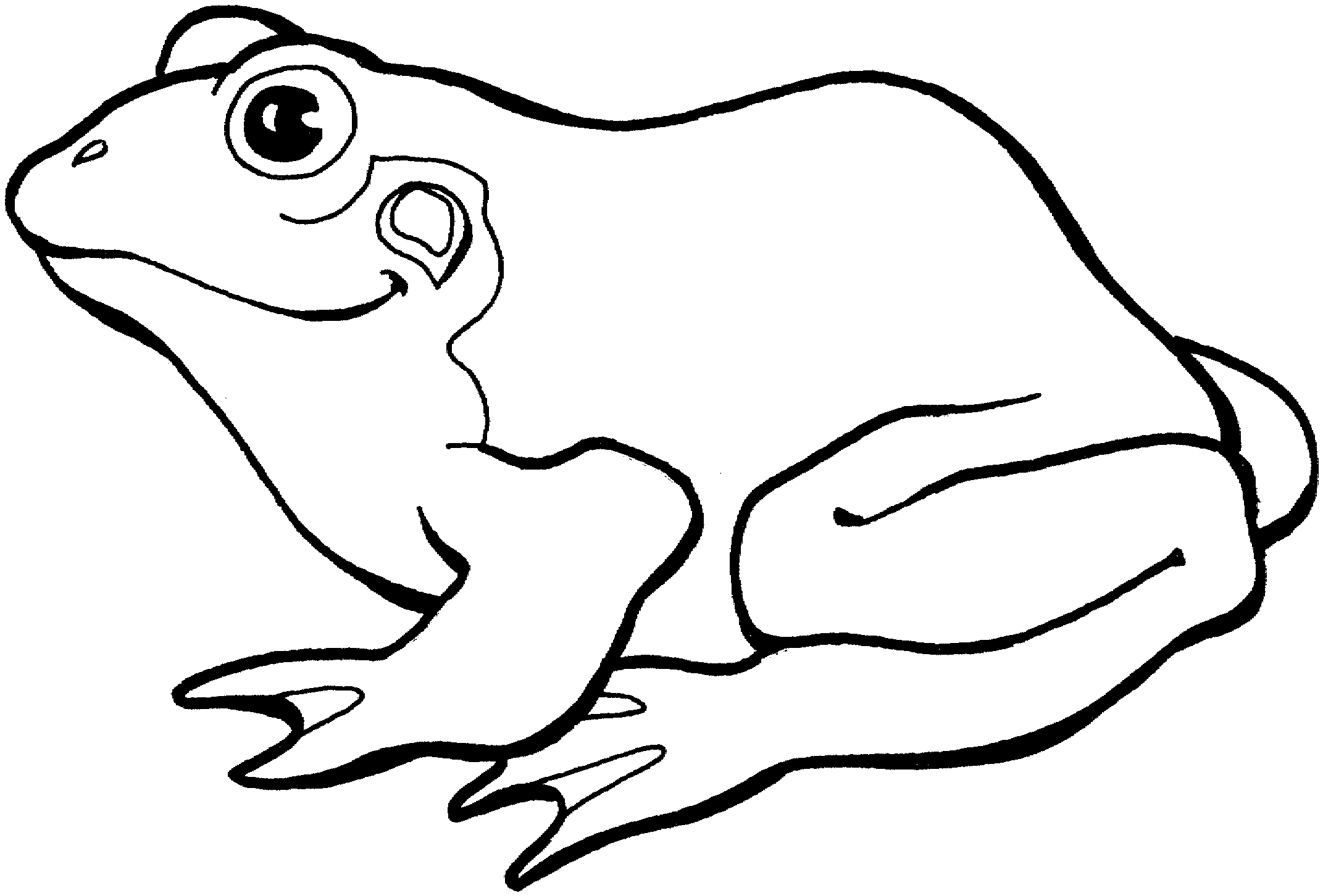 Frog  black and white frog clipart black and white 3