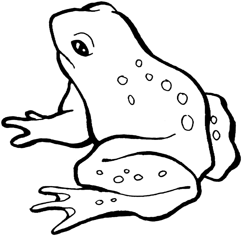 Frog  black and white frog clipart black and white