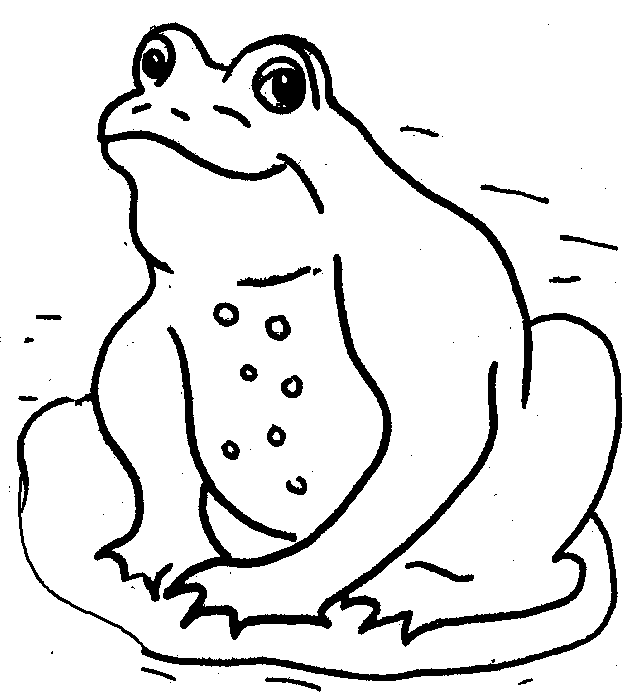 Frog  black and white frog on lily pad clipart