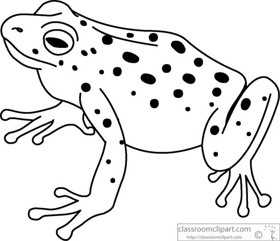 Frog  black and white image of frog clipart black and white and