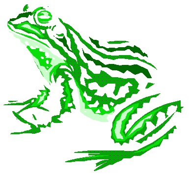 Frog illustration on frogs frog art and cute clip clipart
