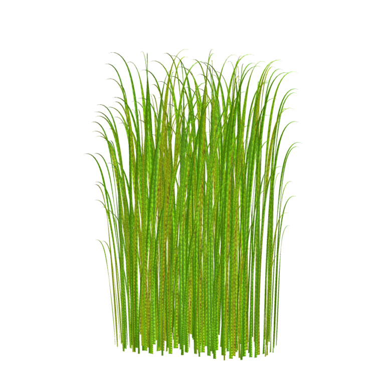 Grass clip art free 2 - WikiClipArt